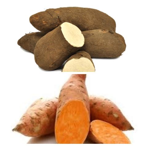 Selecting the Perfect Yam Variety for Your Crop
