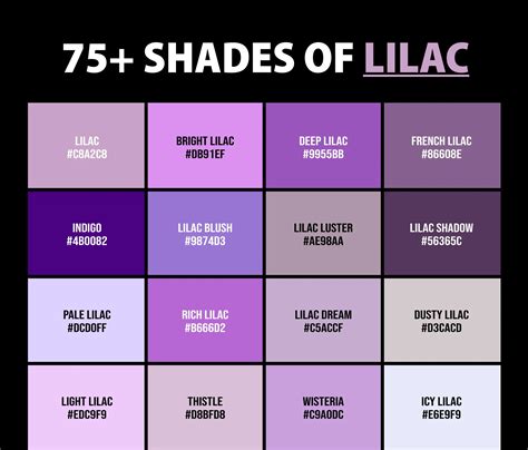 Shades of Lilac: Understanding the Color Palette