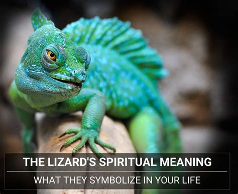 Significance of Lizard Presence on One's Leg: Symbolic Representation and Interpretation