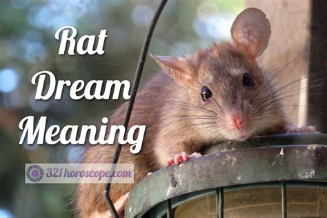Signs of Abundance and Prosperity in Dreaming of a Plump Rodent