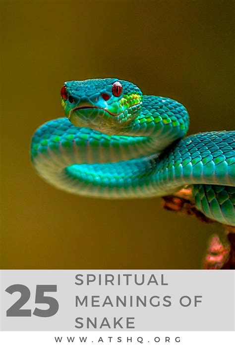 Snake Vision: Decoding the Symbolism and Significance
