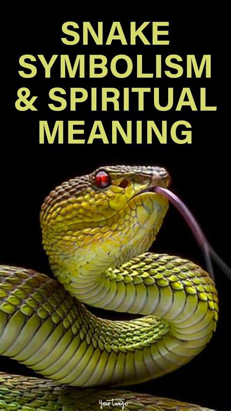 Snakes as Symbols of Transformation and Renewal in the Dream World