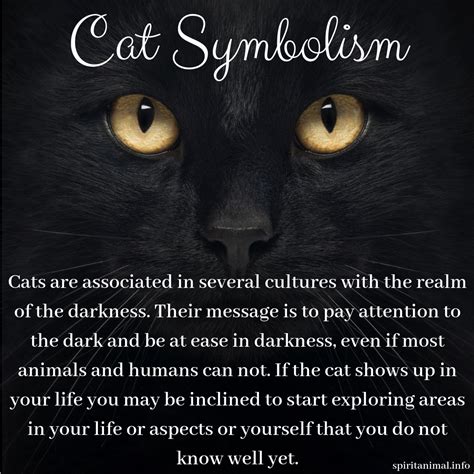 Spiritual Symbolism: Cats as Enigmatic and Symbolic Creatures