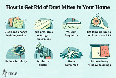 Strategies for Eliminating Dust and Allergens through Deep Cleaning