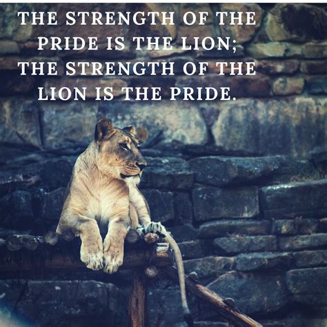 Strength and Unity: The Powerful Representation of a Lion Pride