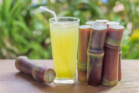 Sugar Cane: A Vital Element in Traditional Beverages