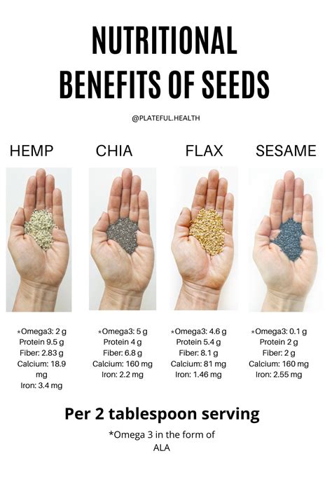 Superior Nutrition: Nutritional Benefits of Sizeable Seeds