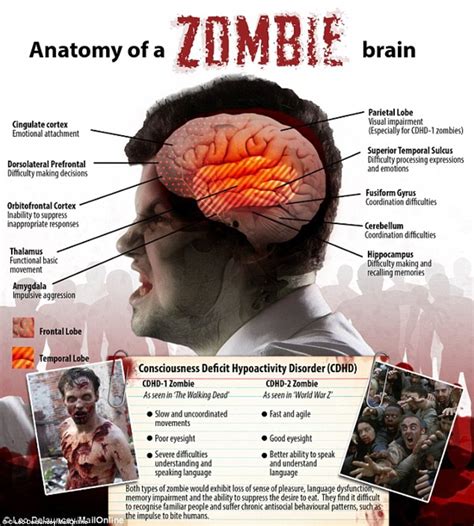 Survival Instincts: Revealing the Hidden Message of Zombie-related Dreams