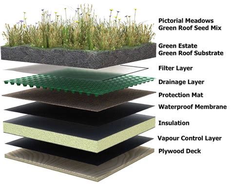 Sustainable Roofing Solutions for a Greener Future