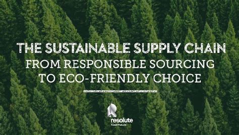 Sustainable Wood Sourcing: Embracing an Ethical and environmentally-conscious Approach