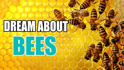 Sweet Dreams and Golden Honey: Decoding the Messages behind Bee Dreams
