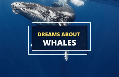 Swimming alongside majestic cetaceans: Unveiling the significance of whale dreams