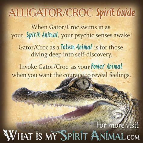 Symbolic Meanings and Associations of Alligators