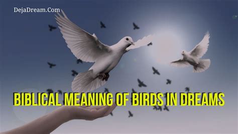 Symbolism of Birds in Dreams