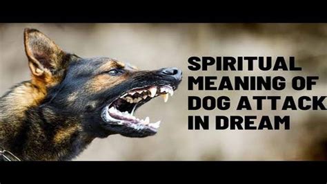 Symbolism of Dreams featuring Aggression from a Dark Canine