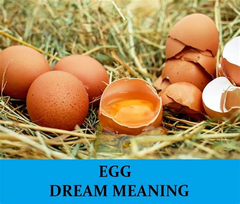 Symbolism of Eggs in Dreams