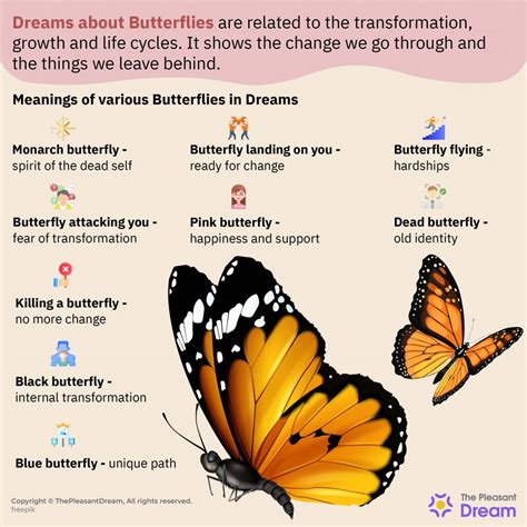 Symbolism of Transformation: Butterflies in Dreams