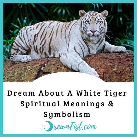 Symbolism of White Tigers in Dreams