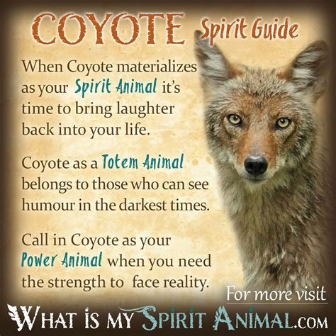 Symbolism of the Coyote in Native American and Folklore Traditions
