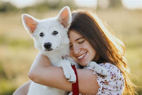 Taking Care of Misplaced Pups: Reuniting Them with Their Guardians