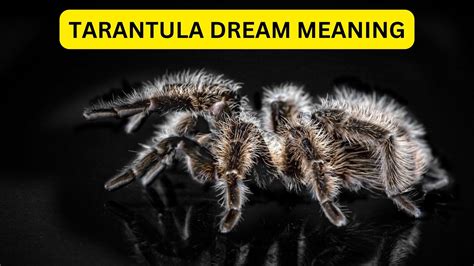 Tarantulas as Symbols of Unresolved Fears and Anxieties