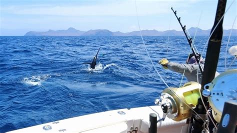 The Adrenaline-Pumping Excitement of Deep-Sea Fishing