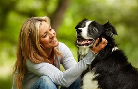 The Advantages of Canine Companionship: Exploring the Physical and Emotional Benefits