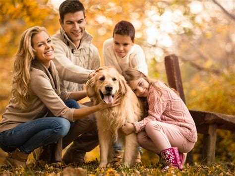 The Advantages of Having a Female Canine Companion for Families
