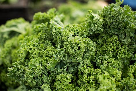 The Advantages of Incorporating Nourishing Verdant Greens into Your Eating Regimen