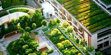 The Advantages of Living Roofs: Establishing a Sustainable Urban Environment