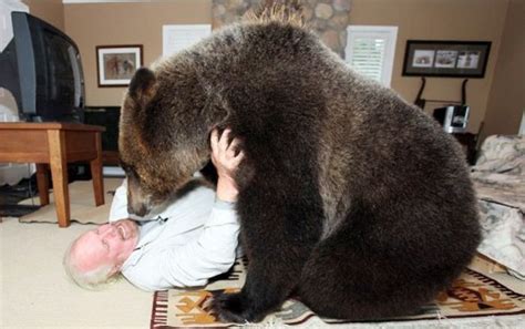 The Allure of Owning a Pet Bear: A Glimpse into the World of Exotic Pets