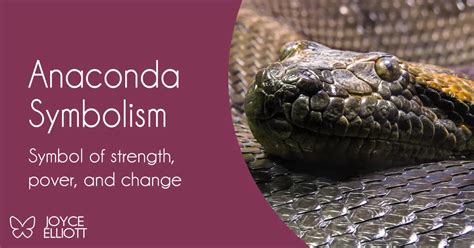 The Anaconda Snake: A Potent Symbol of Metamorphosis