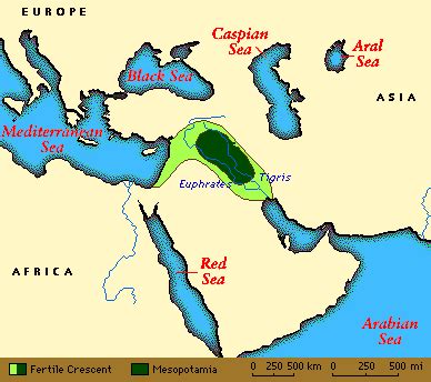 The Ancient History of Grape Cultivation: From Mesopotamia to the Mediterranean