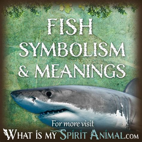 The Ancient Symbolism of Fish and its Connection to Teeth