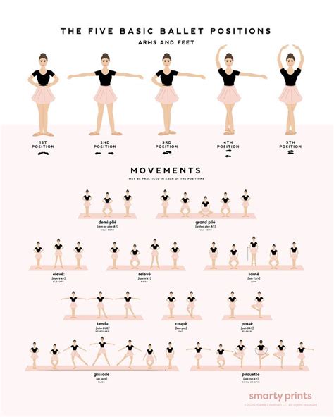 The Basic Principles and Core Elements of Ballet Mastery