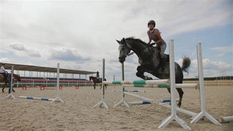 The Beauty of Equestrian Endeavors: Embracing the Artistry of Leaping Over Obstacles