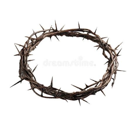 The Biblical Significance of the Crown of Thorns: A Representation of Suffering and Devotion