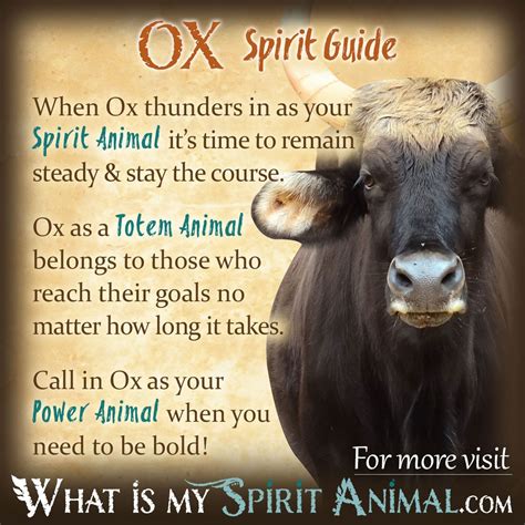 The Black Ox as a Potent and Ancient Symbol