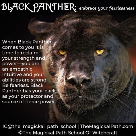 The Black Panther as a Gateway to the Spirit Realm: Mysticism and Shamanism
