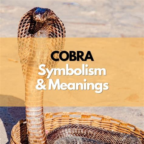 The Cobra: A Mighty and Mysterious Symbol in Dreams