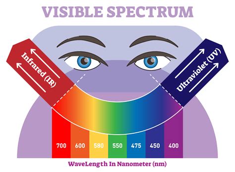 The Color Spectrum: Unraveling the Significance of Light Brown