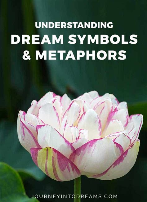 The Complexity of Symbolism in Dreams