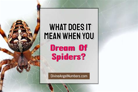 The Connection Between Dreams of Spider Attacks and Feelings of Powerlessness