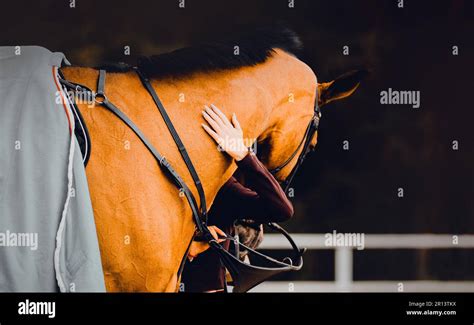The Connection Between Rider and Steed: Experiencing Bliss in the Equine Bond