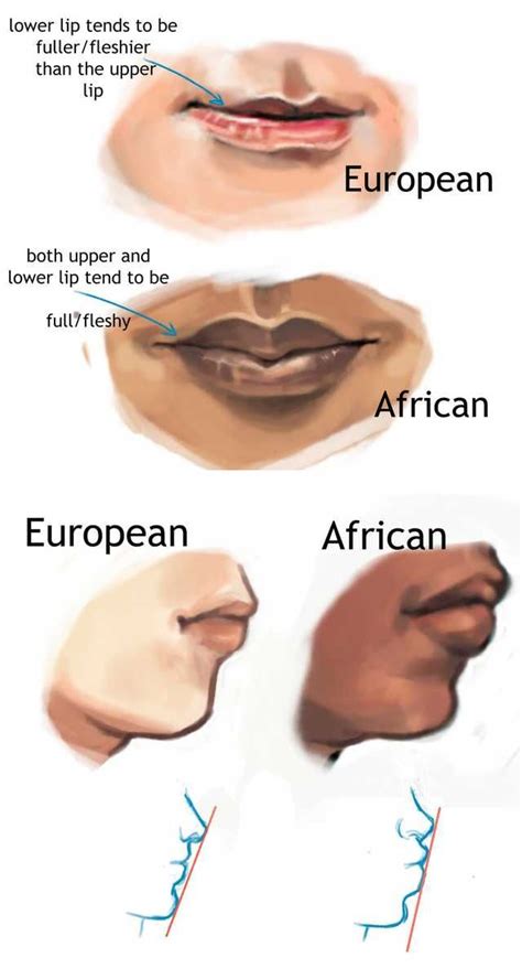 The Cultural Diversity of Lip Imprints