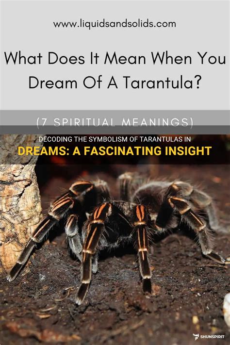 The Deeper Significance of Dreams Involving Tarantula Confrontations