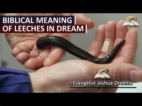 The Deeper Significance of Obsidian Leeches in One's Dreams