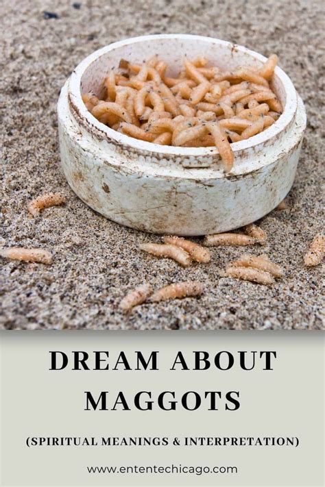 The Disturbing Presence of Maggots in Dream Analysis