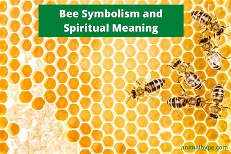 The Divine Messengers: Decoding the Symbolic Language of Bees