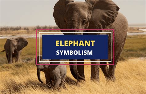 The Elephant: A Symbol of Might and Authority